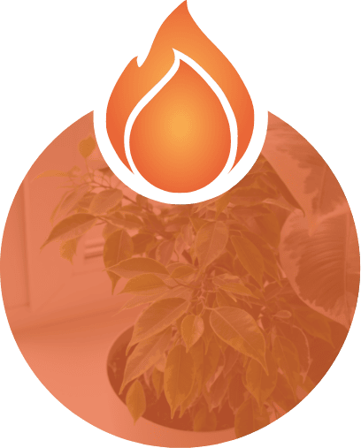 Indoor Air Quality Services.