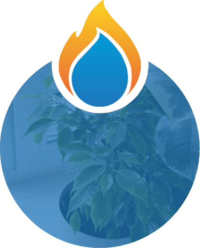 Indoor Air Quality Services.